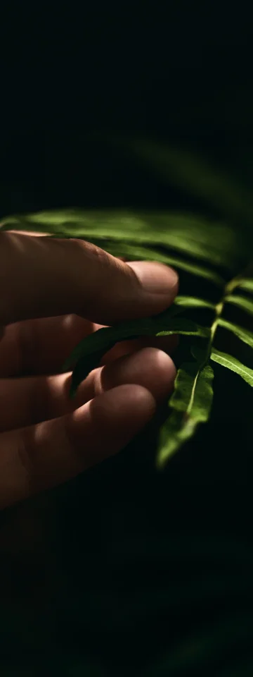 メッセージイメージ