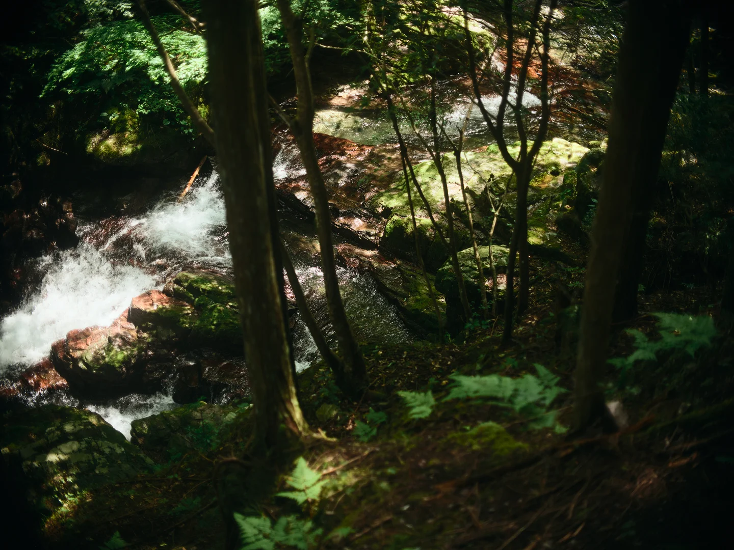 メッセージイメージ