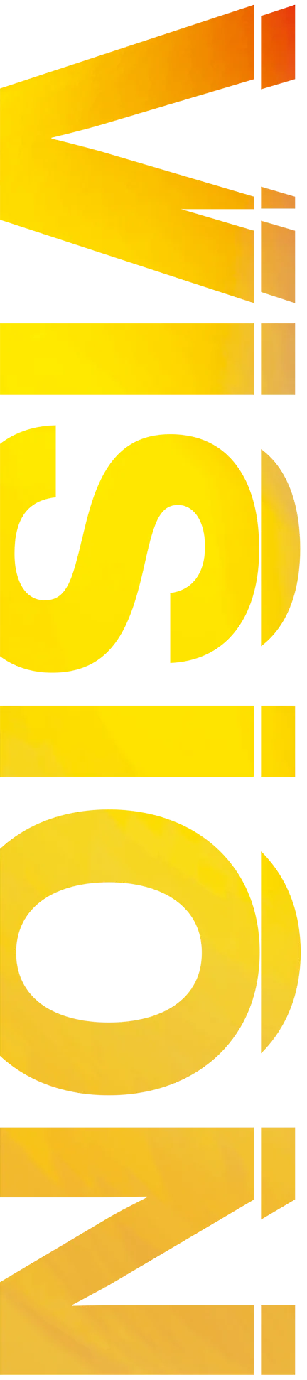 VISION